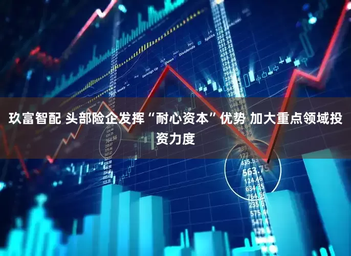 玖富智配 头部险企发挥“耐心资本”优势 加大重点领域投资力度