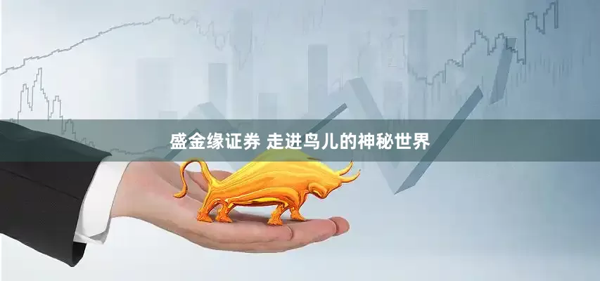盛金缘证券 走进鸟儿的神秘世界