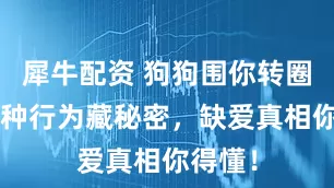 犀牛配资 狗狗围你转圈圈？5种行为藏秘密，缺爱真相你得懂！
