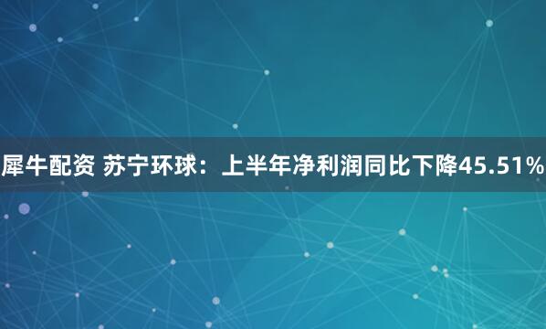 犀牛配资 苏宁环球：上半年净利润同比下降45.51%