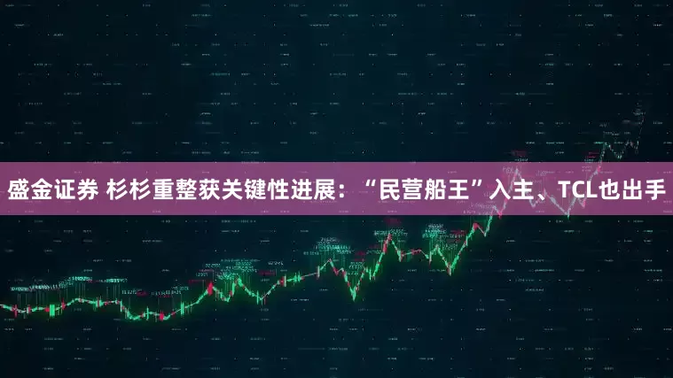 盛金证券 杉杉重整获关键性进展：“民营船王”入主、TCL也出手